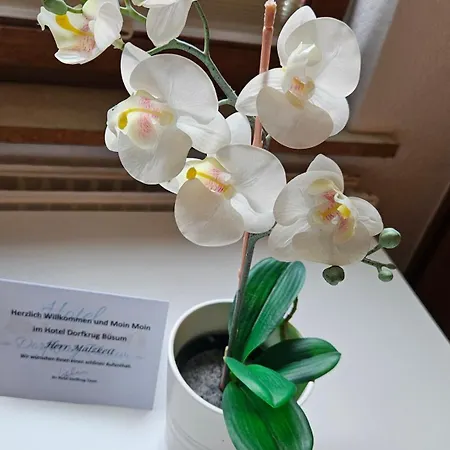 Hotel Dorfkrug - Günstige Altbauzimmer Am Oland